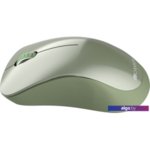 Мышь Canyon CNE-CMSW11SM Мышь Canyon CNE-CMSW11SM