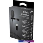 Микрофон Ritmix RCM-210 Микрофон Ritmix RCM-210