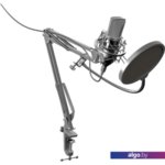 Микрофон Ritmix RDM-169 Микрофон Ritmix RDM-169