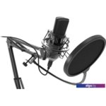 Микрофон Ritmix RDM-169 Микрофон Ritmix RDM-169