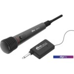 Микрофон Ritmix RWM-100 (черный) Микрофон Ritmix RWM-100 (черный)
