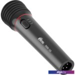 Микрофон Ritmix RWM-100 (черный) Микрофон Ritmix RWM-100 (черный)