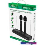 Микрофон Ritmix RWM-210 Микрофон Ritmix RWM-210