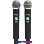 Микрофон Ritmix RWM-222 Микрофон Ritmix RWM-222