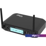 Микрофон Ritmix RWM-222 Микрофон Ritmix RWM-222