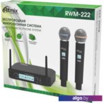 Микрофон Ritmix RWM-222 Микрофон Ritmix RWM-222