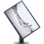Монитор AOC e2460Pq Монитор AOC e2460Pq