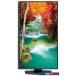 Монитор NEC MultiSync EA271Q-BK Монитор NEC MultiSync EA271Q-BK