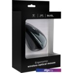 Мышь Gembird MUSW-ERGO-01 Мышь Gembird MUSW-ERGO-01