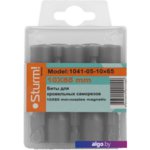 Набор бит Sturm 1041-05-10x65 (10 предметов) Набор бит Sturm 1041-05-10x65 (10 предметов)