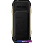 Мобильный телефон TeXet TM-D424 (черный) Мобильный телефон TeXet TM-D424 (черный)